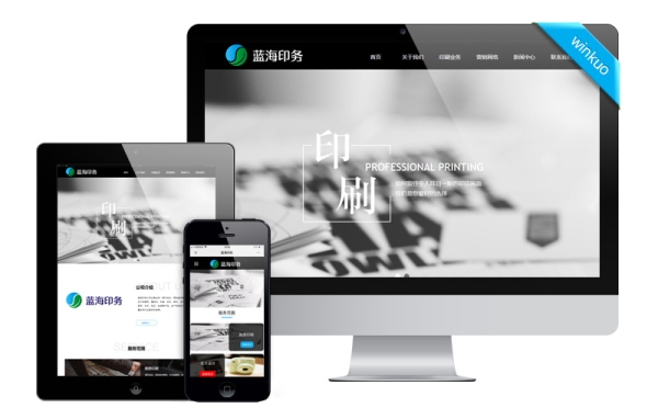 印刷包裝網站建設案例